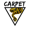Carpet Python Geometric Snake Owner