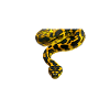 Carpet Python Geometric Snake Owner