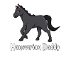 Horse lovers - Hanoverian Daddy