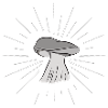 Mushroom Fungi Collect Gift