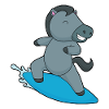 Surf Surf Surf Été
