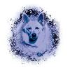 white shepherd dog ,dog,white,dog,painting,wolf