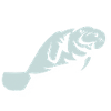 I love manatee, dugongs