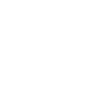 Bull Skeleton