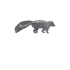 Stinktier Stinken Stinker Skunk Geschenk