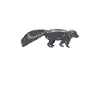 Skunk