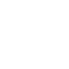 Airplane Icon