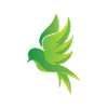Oiseau vert