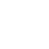 Magnifier Icon