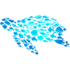 Water turtle Fish Sea creatures