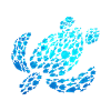 Turtle Sea Ocean Animals Turtle