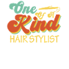 Hairdresser Hairstylist