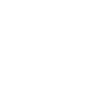 Fleur Blanche Fleur Tulipe Blanche