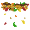 Eicheln Herbst