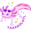 yaaasolotl
