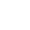 Brauer