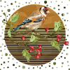 Bunter Vogel