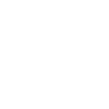 Shark skeleton