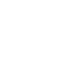 Pferdevoltigieren Evolution Reiten Reiten
