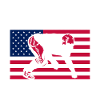 Fodboldkamp Amerikansk fodboldspiller