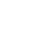 Toronto Maple Leaf