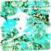 Skier E 248