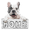 Bulldog Dog Pet Home Bouclier