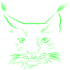 Lynx - extinct species