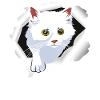 CAT W