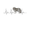 Bearded Collie Gift Dogs