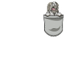 Bearded Collie Gift Chiens