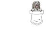 Bearded Collie Gift Chiens