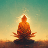 Meditation Ninja