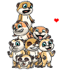 Funny Meerkat Kawaii Surikat Surikate