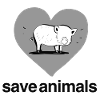 Save Animals Heart Pig Animal
