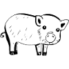 Symbole cochon animal bébé contraste