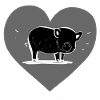 Pig Animal Heart