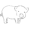 Animal Symbol Pig Baby cartoon