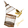 Liberated Hummingbird Kolibrie