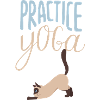 Practice Yoga - Chat