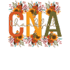 Infirmière auxiliaire certifiée de l’AIIC