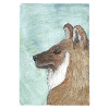 Dhole