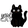 YOUR CAT