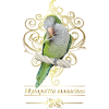Argentine Parakeet