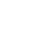 Detective