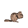 Cadeau de rongeur chipmunk