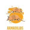 Armadillo Gift Armadillo