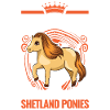 Shetland Pony Gift Shetty