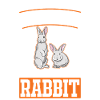 Rabbit Gift Rabbit Rabbit