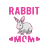 Rabbit Mama Rabbit Rabbit